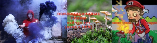 гашик Балахна