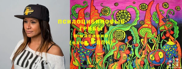 гашик Балахна