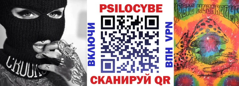закладка  гидра сайт  Галлюциногенные грибы Cubensis  Ногинск 